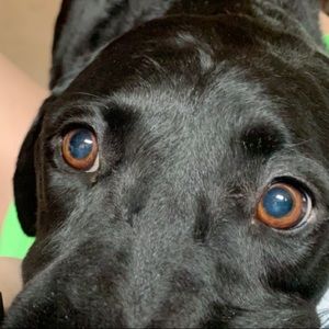 Meet your Posher, Jaime